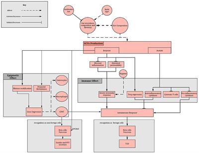 Epigenetic Effects of Gut Metabolites: Exploring the Path of Dietary Prevention of Type 1 Diabetes